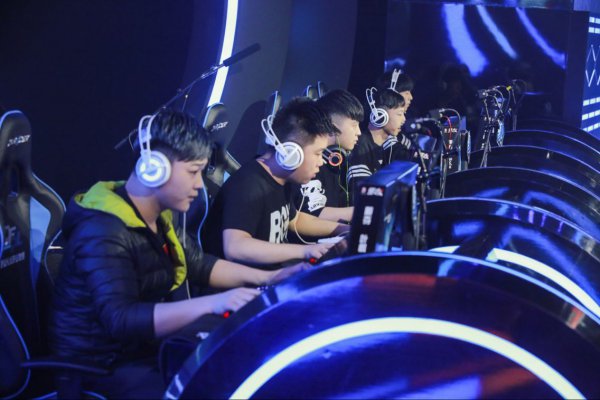 的重要因素 的重要因素